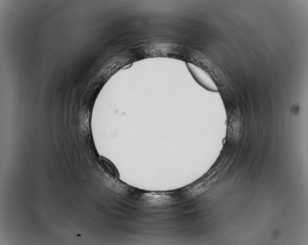 X0000097980477200804211042