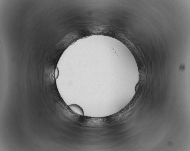 X0000097980479200804211042