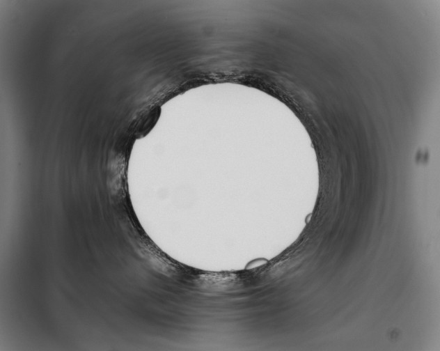 X0000097980480200804211042