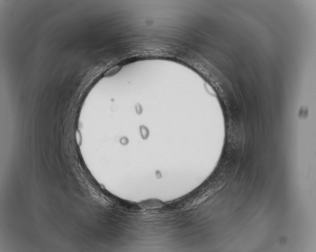 X0000097980481200804211041