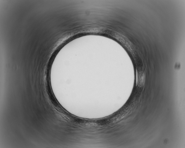 X0000097980483200804211041