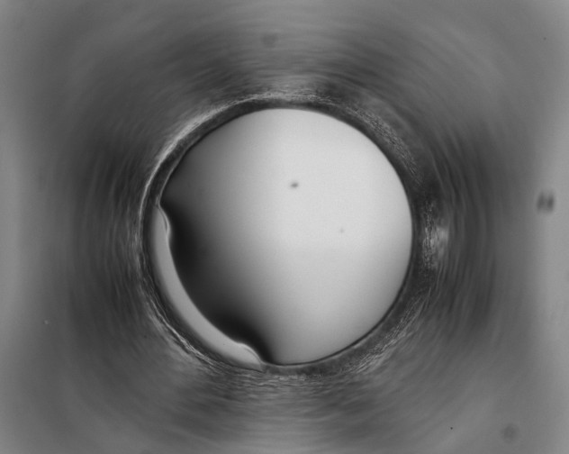 X0000097980484200804211041