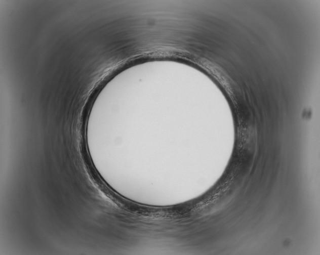 X0000097980485200804211041