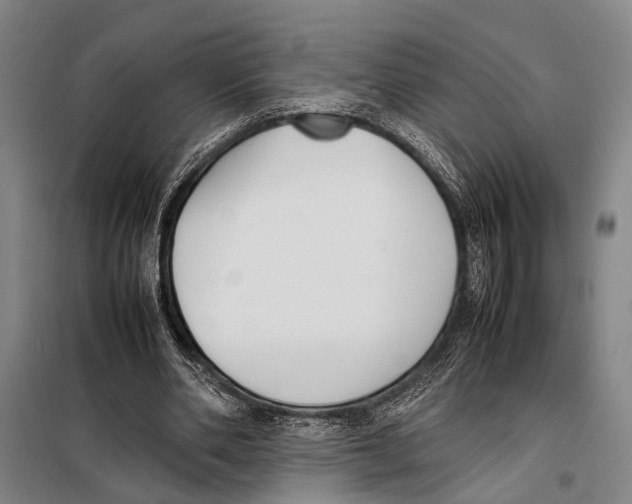 X0000097980486200804211041