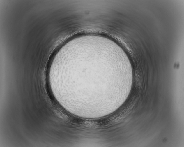 X0000097980487200804211041