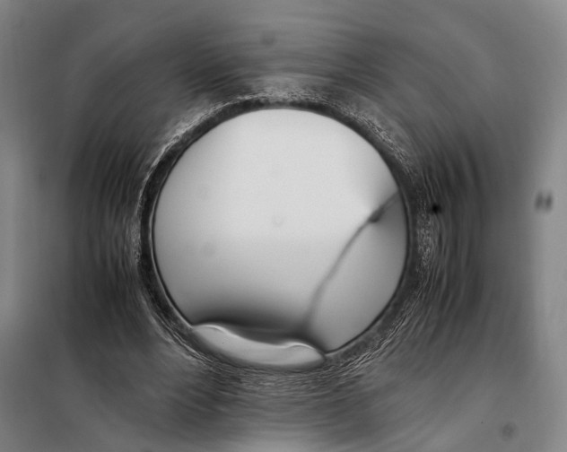 X0000097980488200804211041