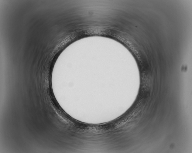 X0000097980489200804211041