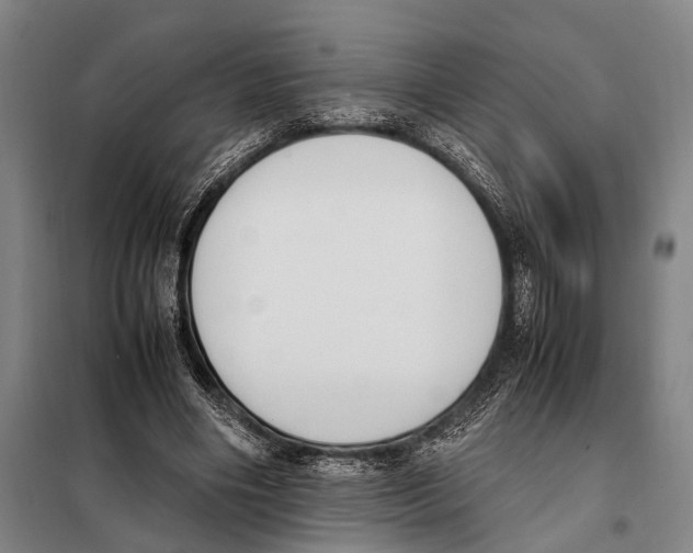 X0000097980490200804211041