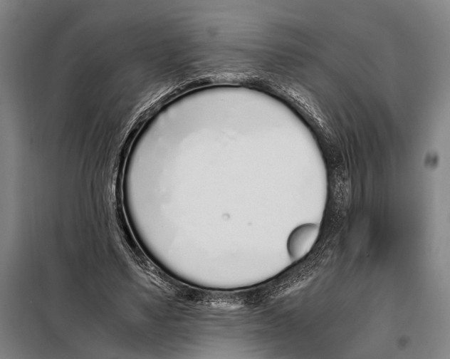 X0000097980491200804211041