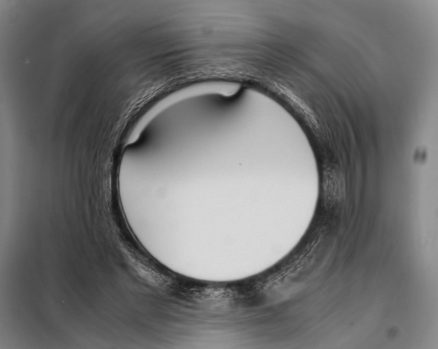 X0000097980493200804211041