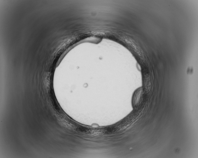 X0000097980495200804211041