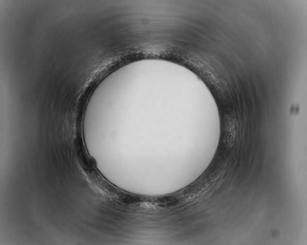 X0000097980496200804211041