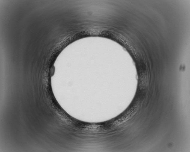 X0000097980497200804211041