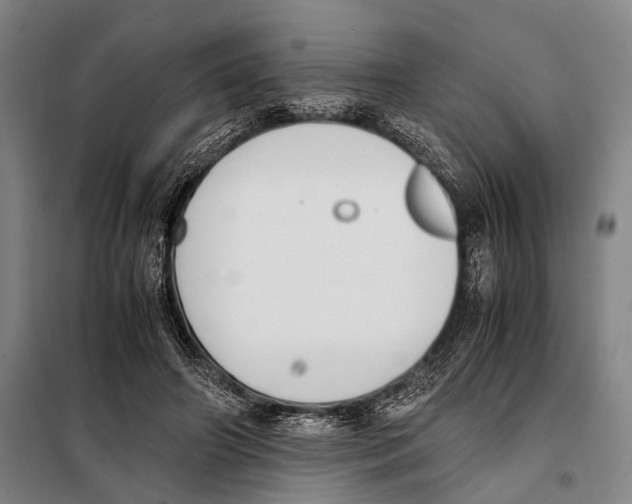 X0000097980498200804211041