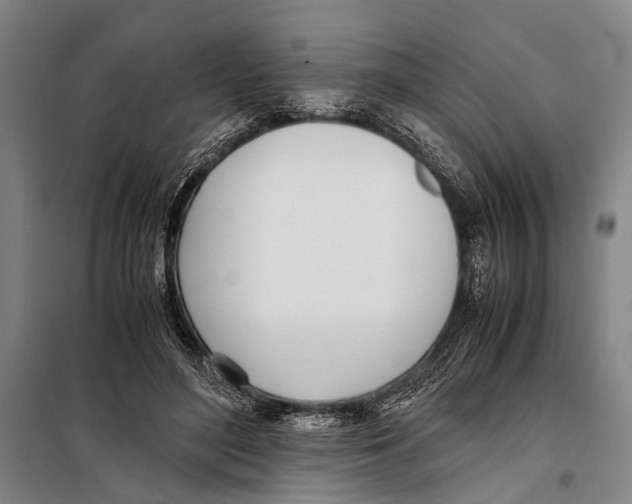 X0000097980500200804211041