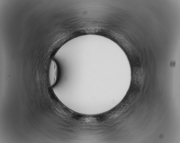 X0000097980501200804211041