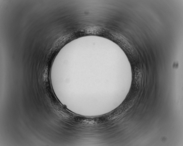 X0000097980502200804211041