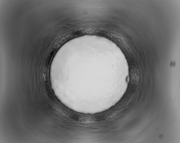 X0000097980503200804211041