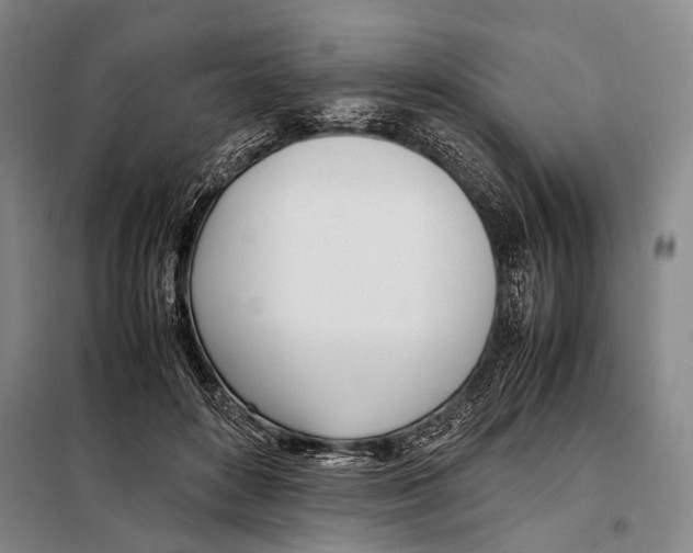 X0000097980504200804211041