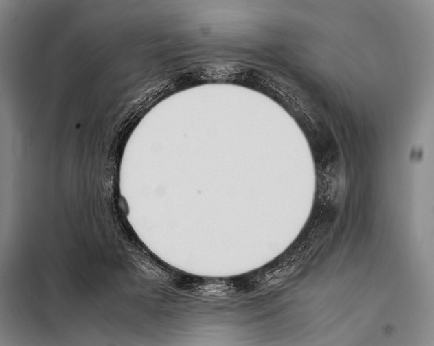 X0000097980505200804211041