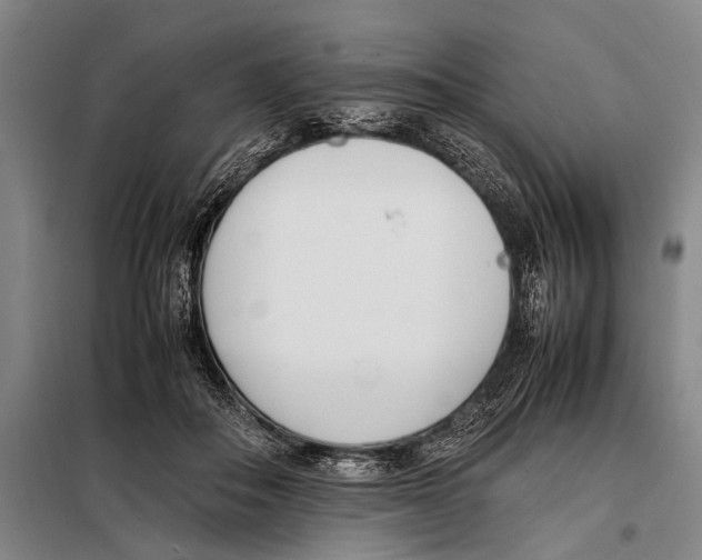 X0000097980506200804211041