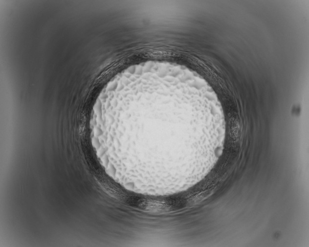 X0000097980507200804211041