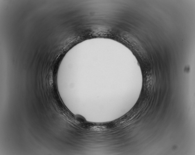 X0000097980508200804211041