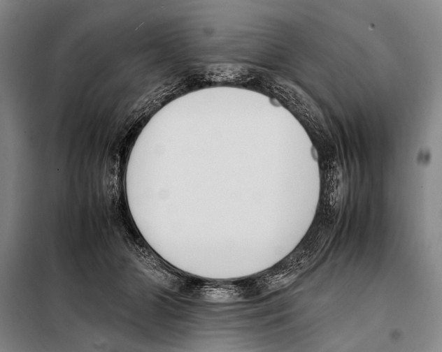 X0000097980510200804211041