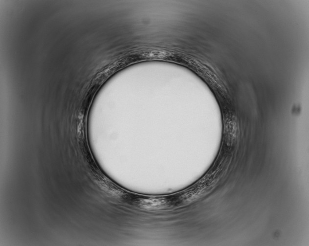 X0000097980511200804211041