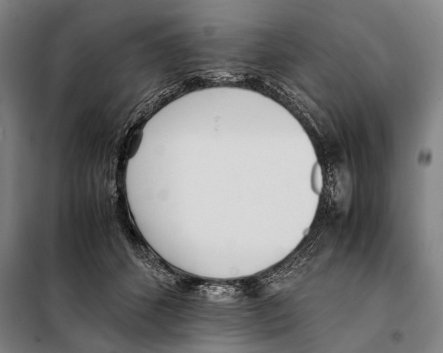 X0000097980512200804211041