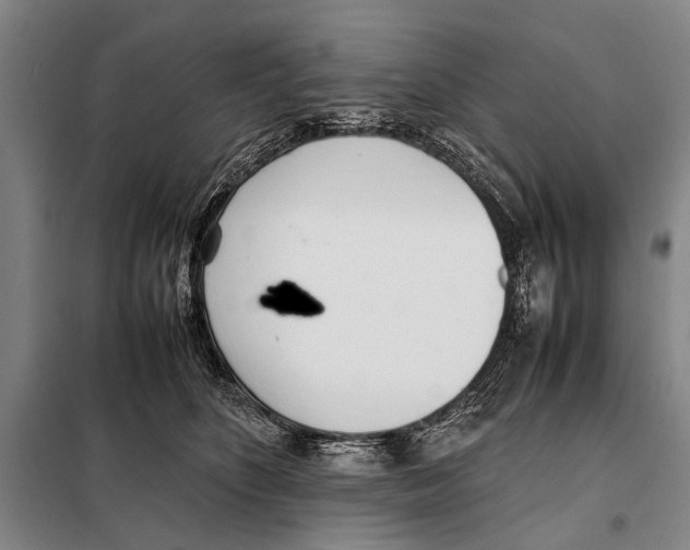 X0000097980516200804211041