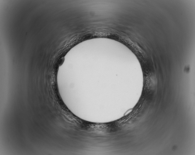 X0000097980517200804211041