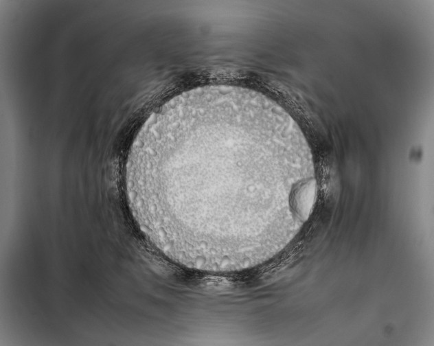 X0000097980519200804211041