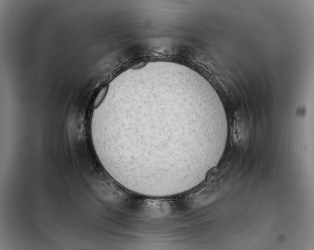 X0000097980520200804211041