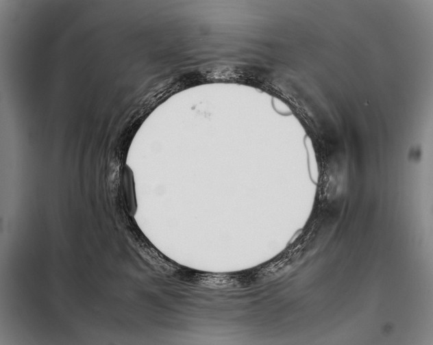 X0000097980521200804211041