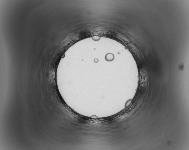 X0000097980523200804211041