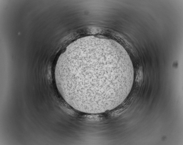 X0000097980524200804211041