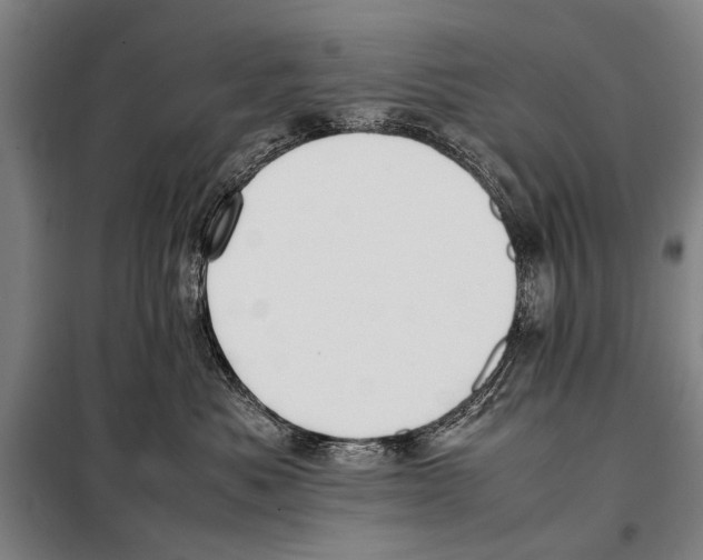 X0000097980525200804211041