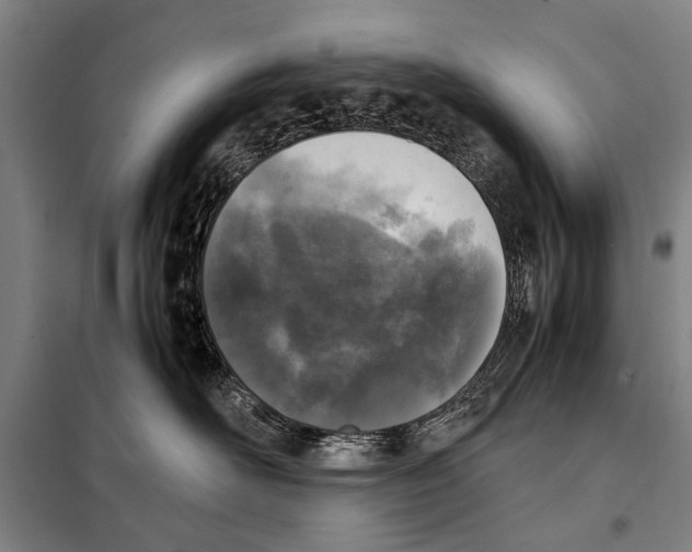 X0000097980526200804211041