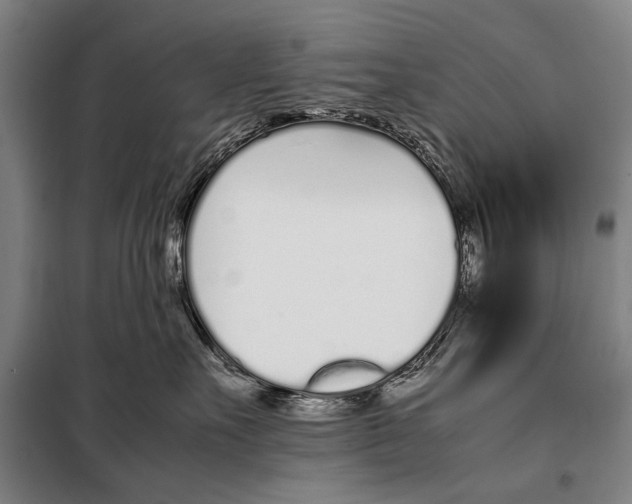 X0000097980527200804211041