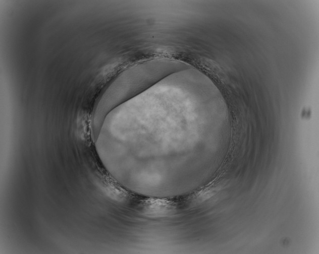 X0000097980528200804211041