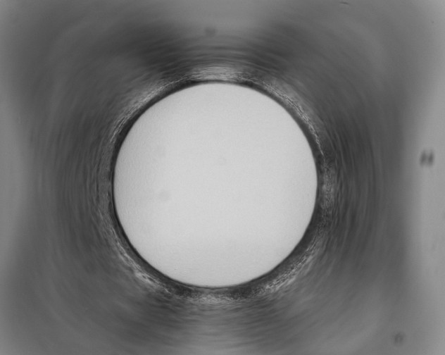 X0000097980529200804211040