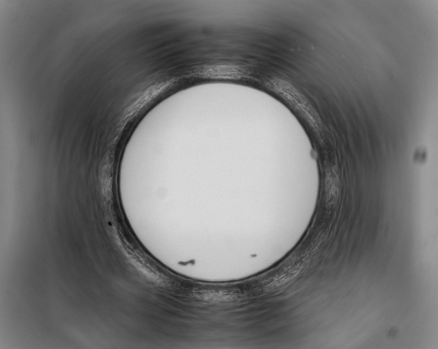 X0000097980533200804211040