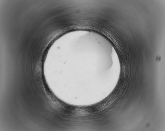 X0000097980534200804211040