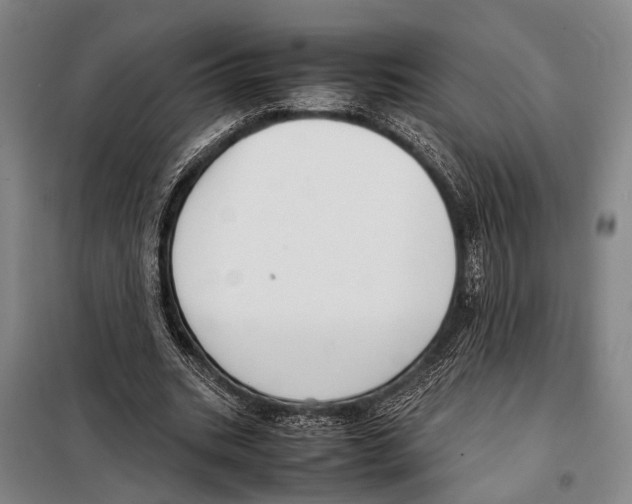 X0000097980535200804211040