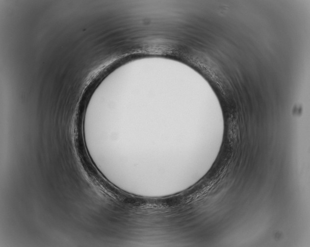 X0000097980536200804211040