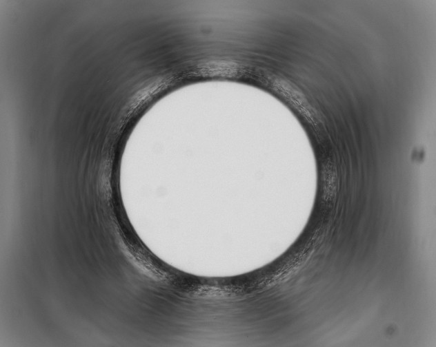 X0000097980538200804211040