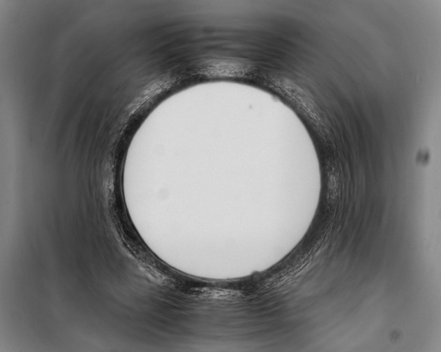 X0000097980539200804211040