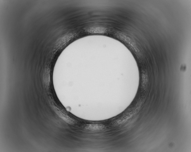 X0000097980541200804211040