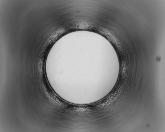 X0000097980542200804211040